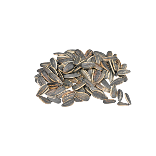 Sunflower seeds